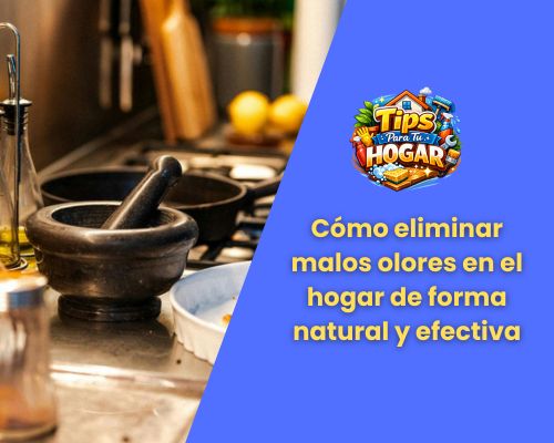 Cómo eliminar malos olores en el hogar de forma natural y efectiva
