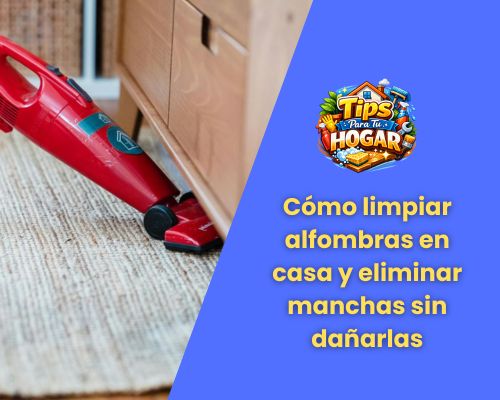 Cómo limpiar alfombras en casa y eliminar manchas sin dañarlas
