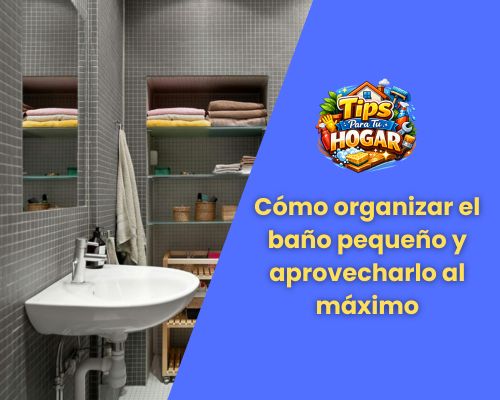Cómo organizar el baño pequeño y aprovecharlo al máximo