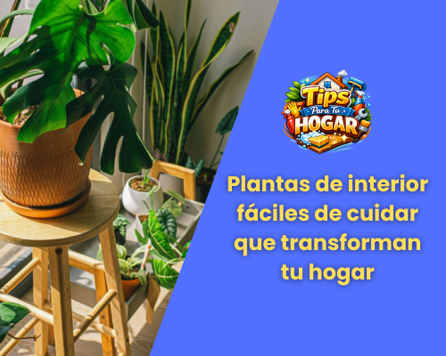 Plantas de interior fáciles de cuidar que transforman tu hogar