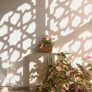 Plantas de interior fáciles de cuidar que transforman tu hogar
